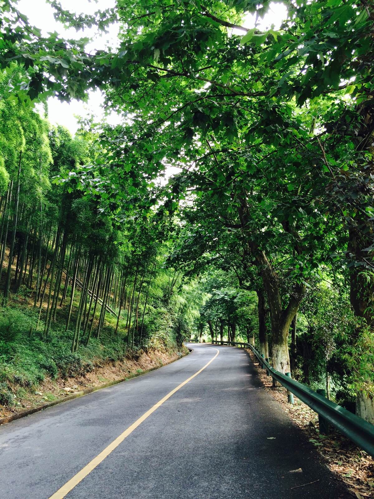 莫干山夏日避暑两日游